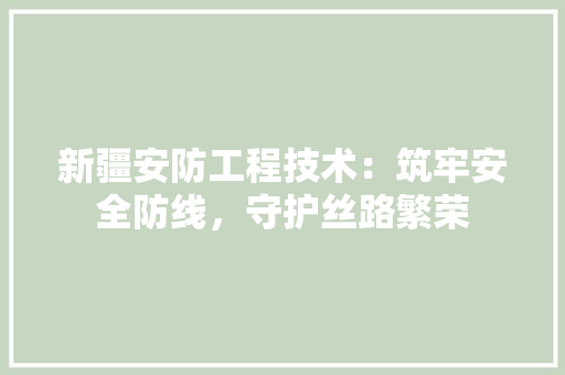 新疆安防工程技术：筑牢安全防线，守护丝路繁荣 室内设计