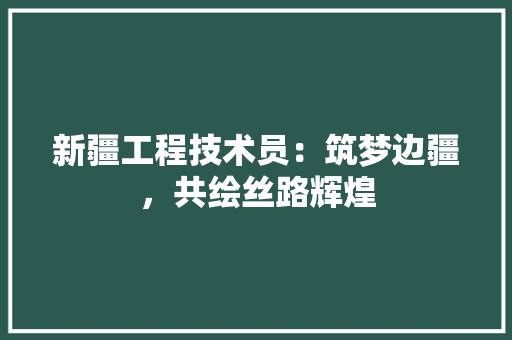 新疆工程技术员：筑梦边疆，共绘丝路辉煌