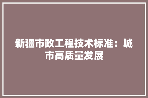 新疆市政工程技术标准：城市高质量发展