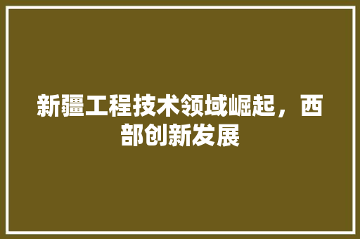 新疆工程技术领域崛起，西部创新发展 室内设计