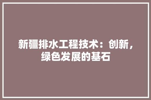 新疆排水工程技术：创新，绿色发展的基石