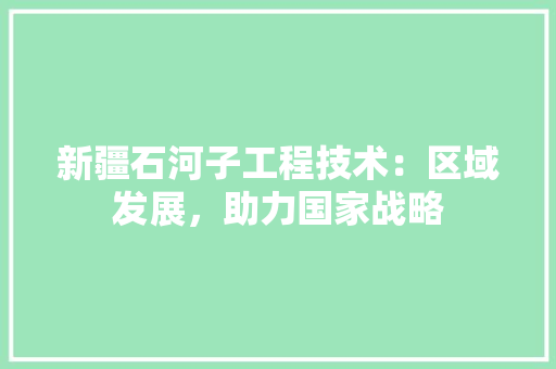 新疆石河子工程技术：区域发展，助力国家战略 室内设计
