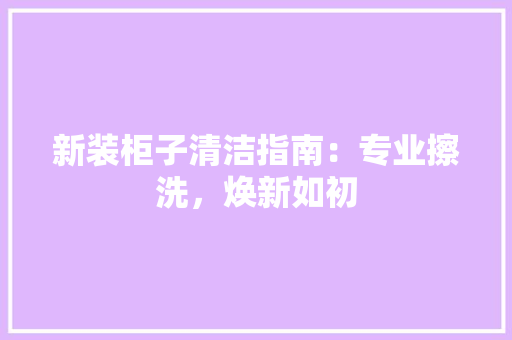 新装柜子清洁指南：专业擦洗，焕新如初 室内设计