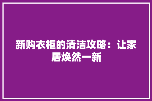 新购衣柜的清洁攻略：让家居焕然一新