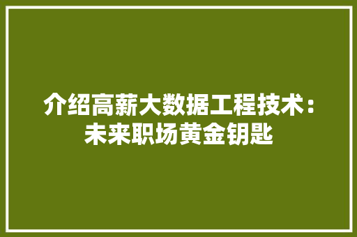 介绍高薪大数据工程技术：未来职场黄金钥匙