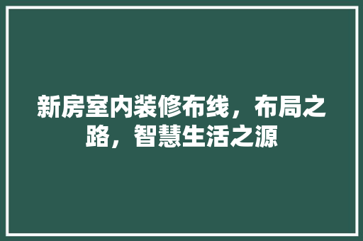 新房室内装修布线，布局之路，智慧生活之源 室内设计