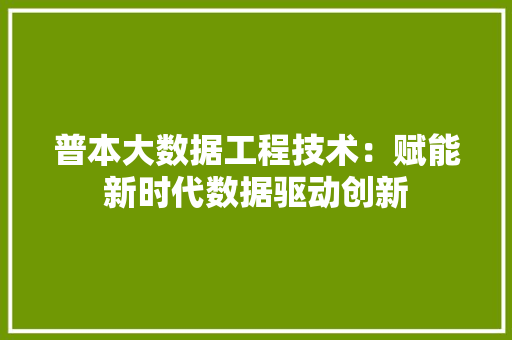 普本大数据工程技术：赋能新时代数据驱动创新