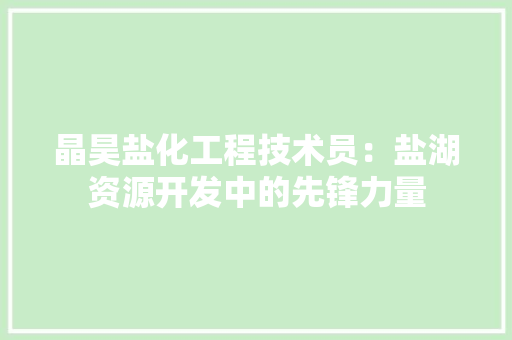晶昊盐化工程技术员：盐湖资源开发中的先锋力量 室内设计