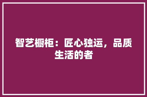 智艺橱柜：匠心独运，品质生活的者 室内设计