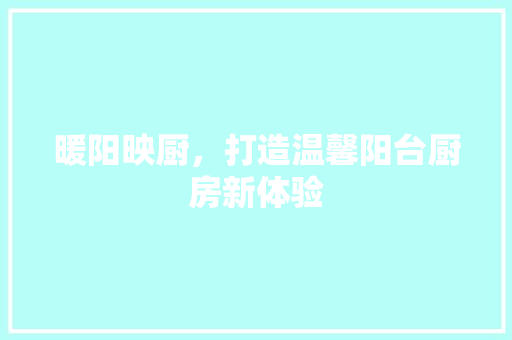 暖阳映厨，打造温馨阳台厨房新体验 室内设计