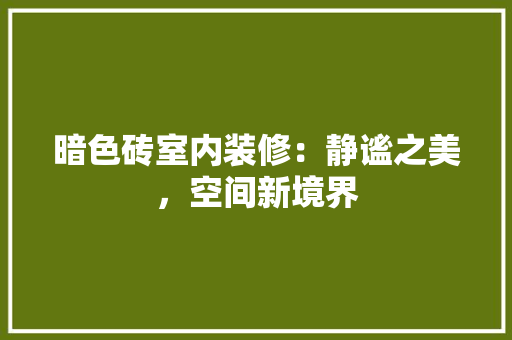 暗色砖室内装修：静谧之美，空间新境界 室内设计
