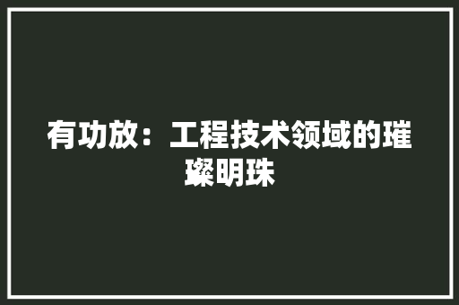 有功放：工程技术领域的璀璨明珠 室内设计