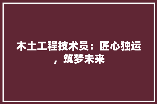 木土工程技术员：匠心独运，筑梦未来 室内设计