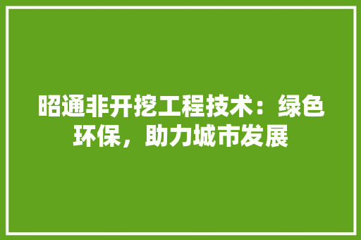 昭通非开挖工程技术：绿色环保，助力城市发展 室内设计