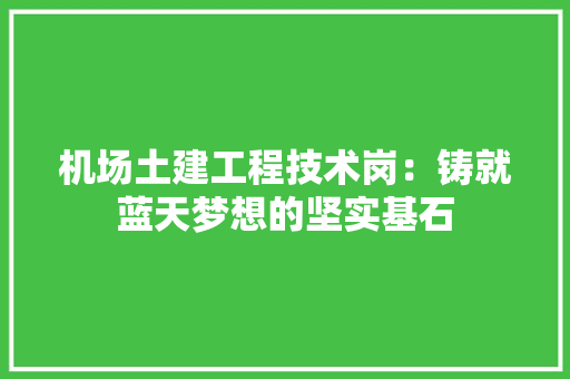 机场土建工程技术岗：铸就蓝天梦想的坚实基石