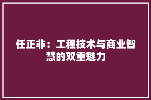 任正非：工程技术与商业智慧的双重魅力