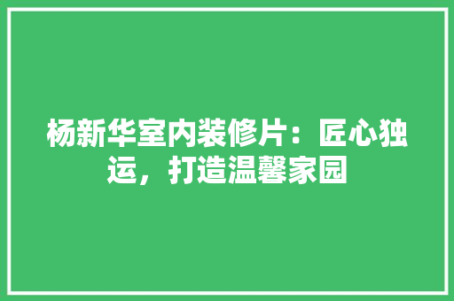 杨新华室内装修片：匠心独运，打造温馨家园