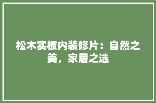 松木实板内装修片：自然之美，家居之选 室内设计
