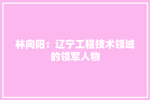 林向阳：辽宁工程技术领域的领军人物 室内设计
