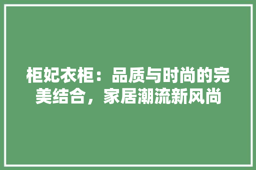柜妃衣柜：品质与时尚的完美结合，家居潮流新风尚 室内设计