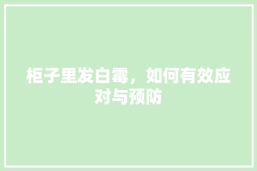 柜子里发白霉，如何有效应对与预防