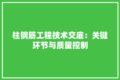 柱钢筋工程技术交底：关键环节与质量控制 室内设计