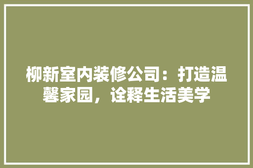 柳新室内装修公司：打造温馨家园，诠释生活美学 室内设计