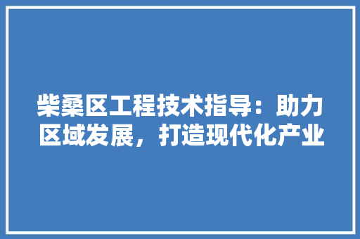 柴桑区工程技术指导：助力区域发展，打造现代化产业新引擎