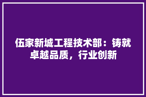 伍家新城工程技术部：铸就卓越品质，行业创新 家居装修