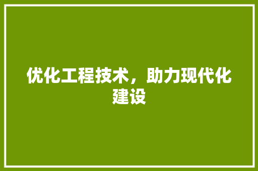 优化工程技术，助力现代化建设
