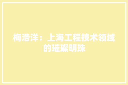 梅浩洋：上海工程技术领域的璀璨明珠 室内设计