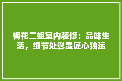 梅花二姐室内装修：品味生活，细节处彰显匠心独运 室内设计