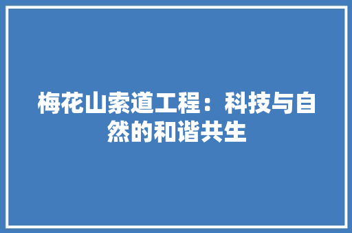 梅花山索道工程：科技与自然的和谐共生 室内设计