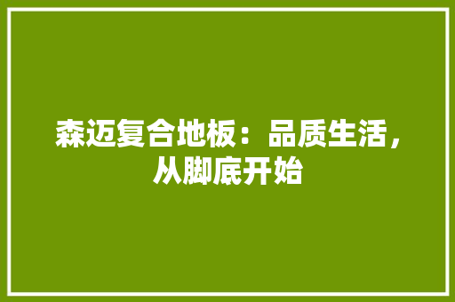 森迈复合地板：品质生活，从脚底开始 室内设计
