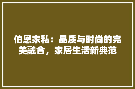 伯恩家私：品质与时尚的完美融合，家居生活新典范