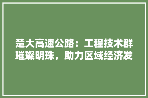 楚大高速公路：工程技术群璀璨明珠，助力区域经济发展 室内设计