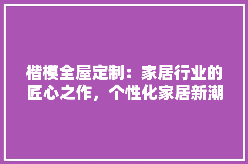 楷模全屋定制：家居行业的匠心之作，个性化家居新潮流 室内设计