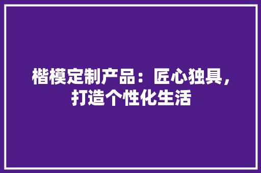 楷模定制产品：匠心独具，打造个性化生活 室内设计