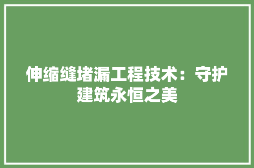 伸缩缝堵漏工程技术：守护建筑永恒之美 家居装修