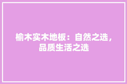 榆木实木地板：自然之选，品质生活之选 室内设计