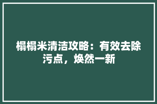 榻榻米清洁攻略：有效去除污点，焕然一新