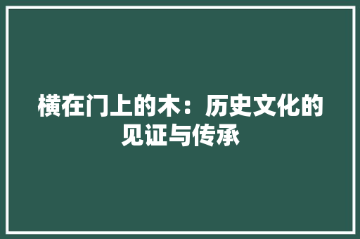 横在门上的木：历史文化的见证与传承 室内设计