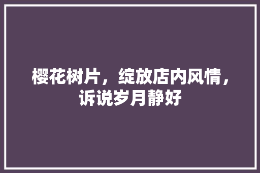 樱花树片，绽放店内风情，诉说岁月静好 室内设计