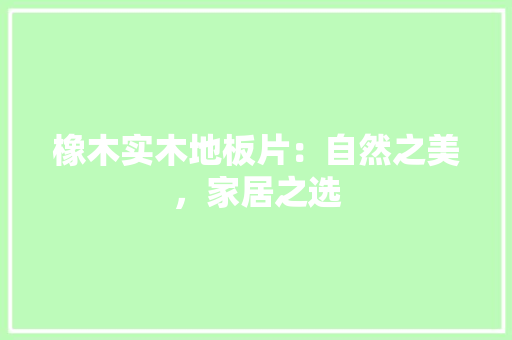 橡木实木地板片：自然之美，家居之选 室内设计
