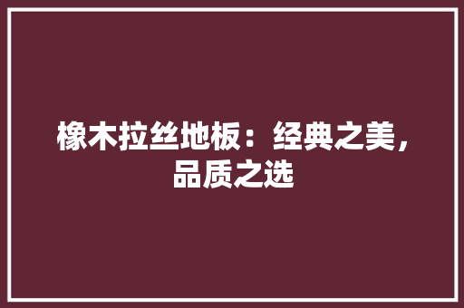 橡木拉丝地板：经典之美，品质之选 室内设计