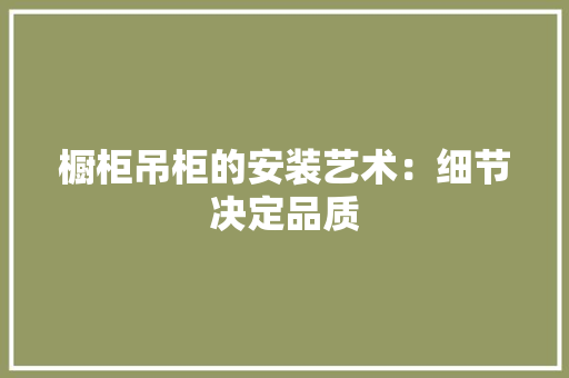 橱柜吊柜的安装艺术：细节决定品质 室内设计