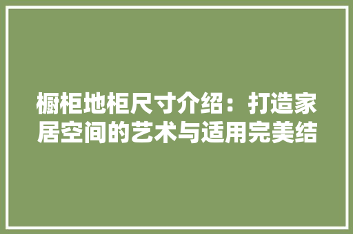 橱柜地柜尺寸介绍：打造家居空间的艺术与适用完美结合 室内设计