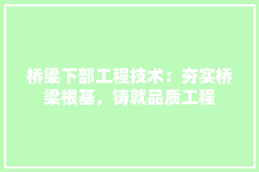 桥梁下部工程技术：夯实桥梁根基，铸就品质工程 室内设计