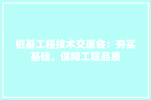 桩基工程技术交底会：夯实基础，保障工程品质 室内设计