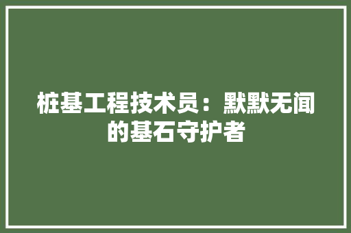 桩基工程技术员：默默无闻的基石守护者 室内设计